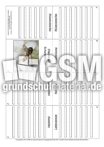 Faltbuch-Schwebfliege.pdf